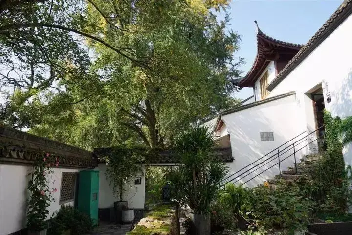 2.jpg 图片