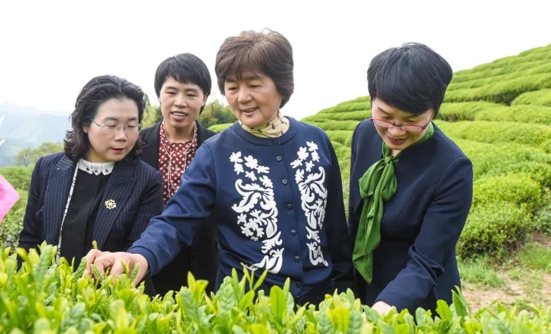 微信图片_20210420143751.jpg 图片