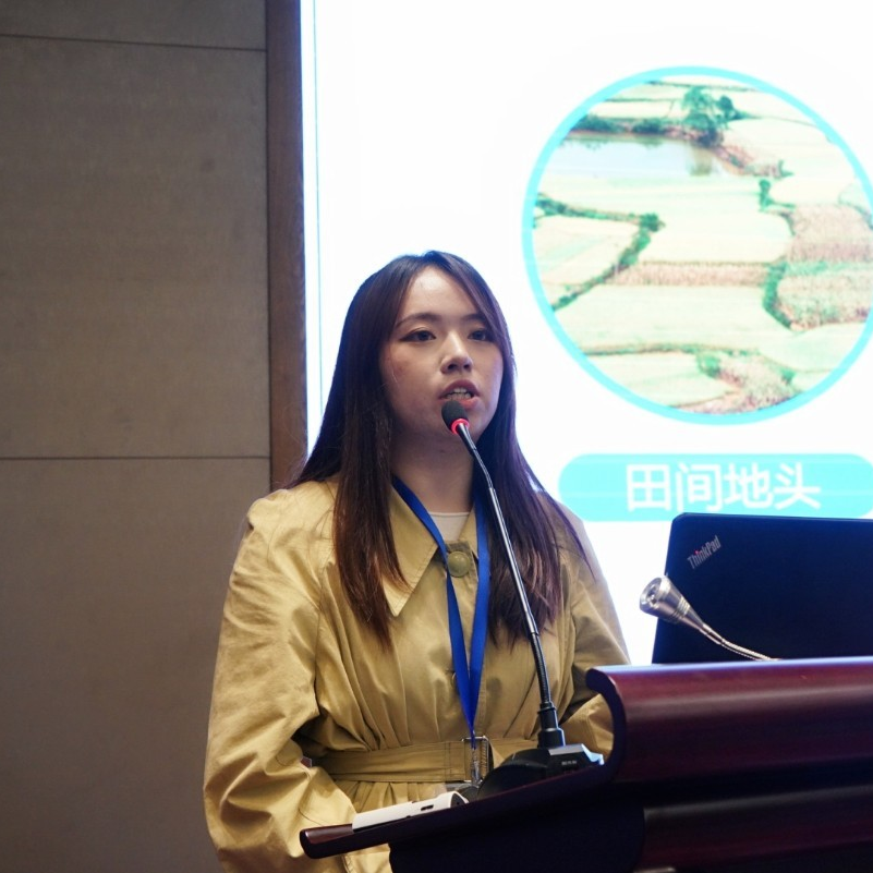 4.jpg 图片