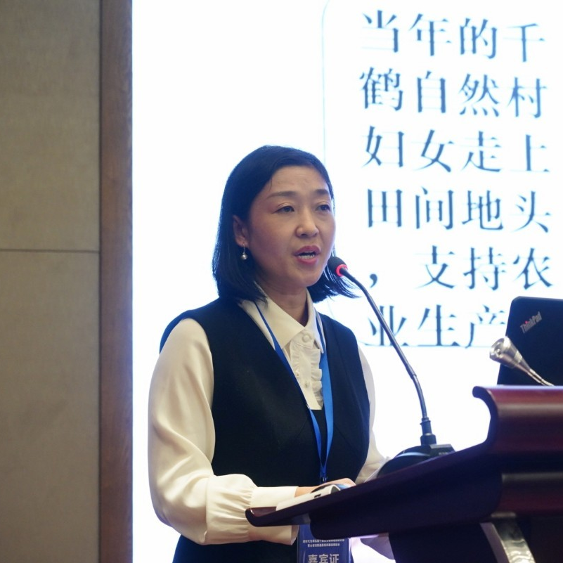 9.jpg 图片