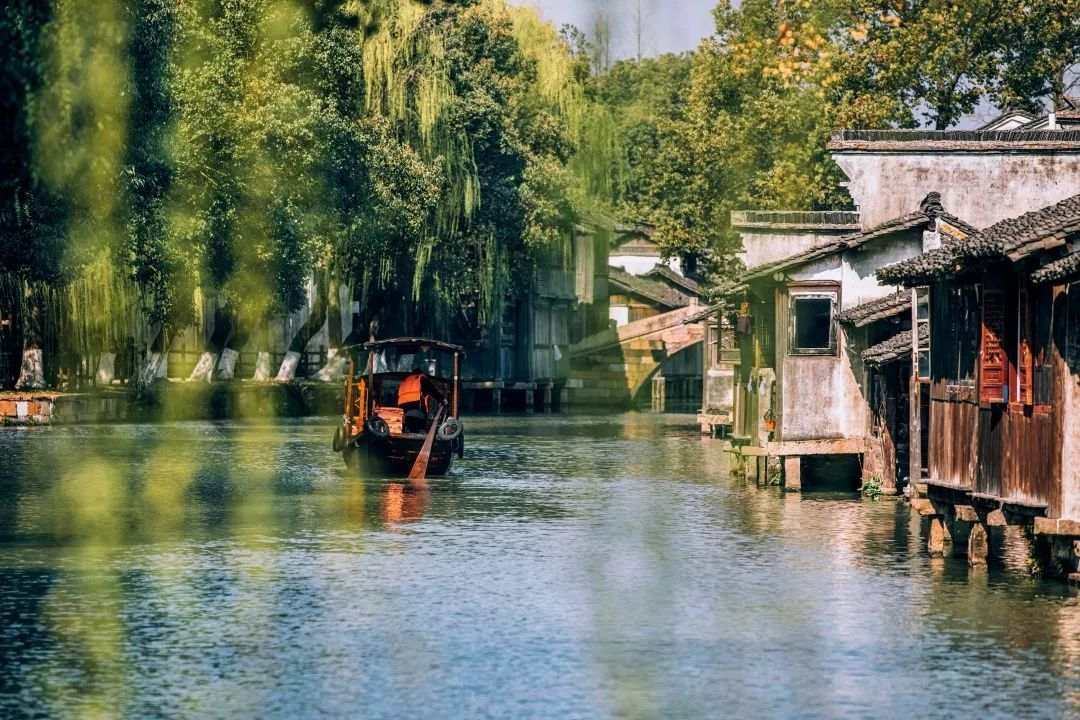 W020221109486011906325.jpg